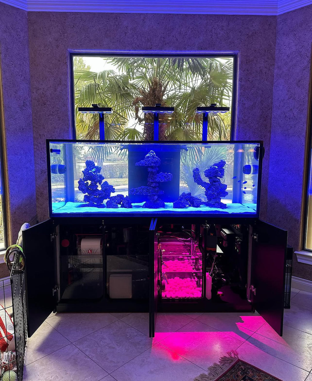 Custom Aquarium Design & Installation Houston | Ocean To You – Ocean To ...