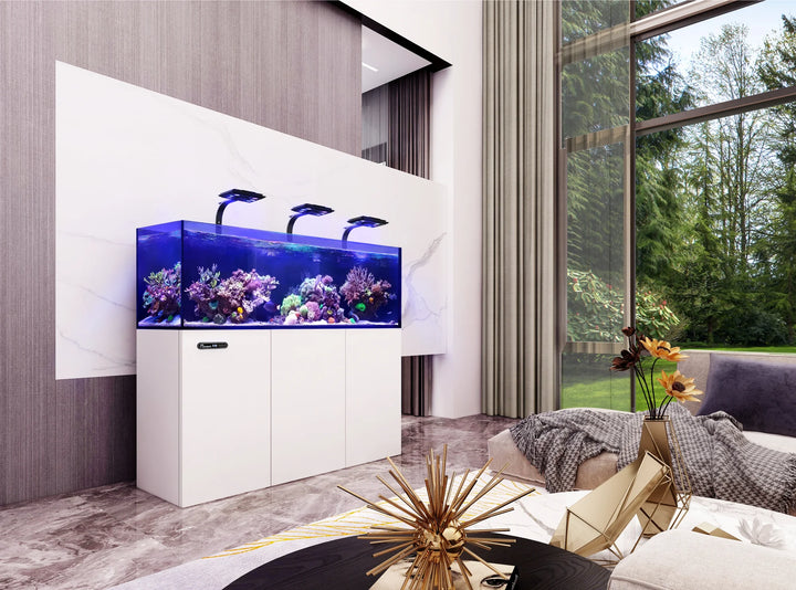 Maxspect Lagoon Smart aquarium in a living room