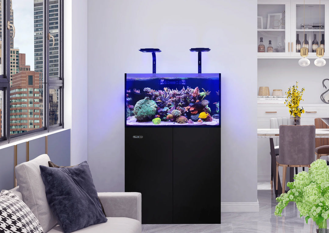 Maxspect Lagoon 90 in Ebony Black in a living room