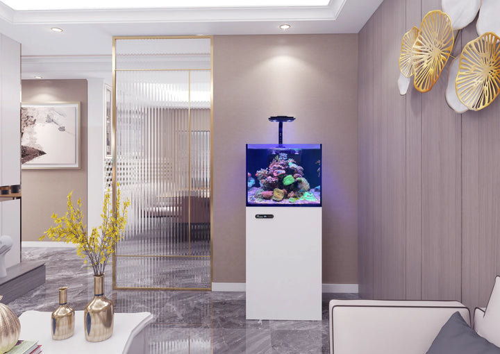 Maxspect Lagoon Smart aquarium