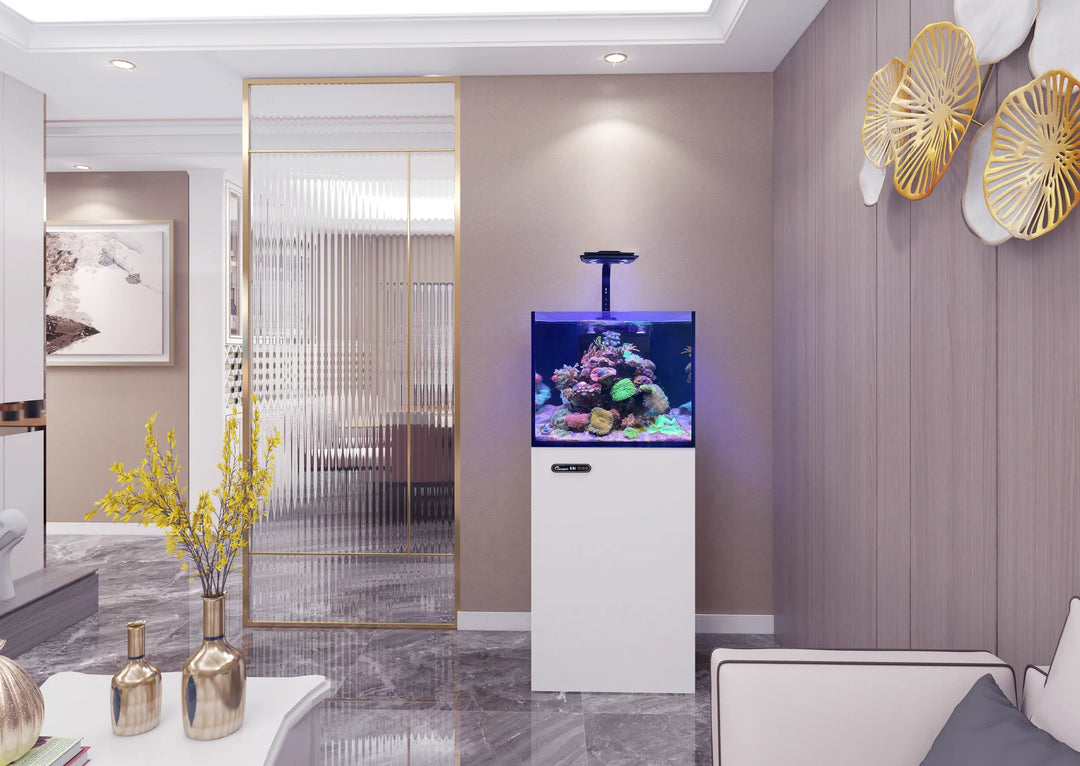 Maxspect Lagoon 60 in Pearl White in a living room
