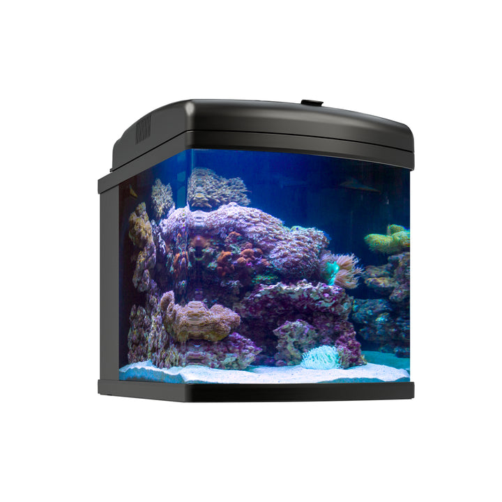 JBJ 28 Gallon Nano Cube